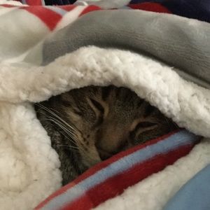 Meet your Posher, Matti